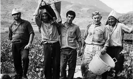 PANTELLERIA, OLTRE GALT E BANFIELD: L’ISOLA E LA LOGICA DEI CLAN
