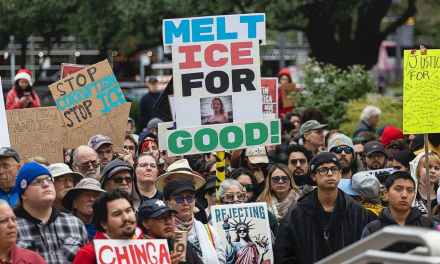 Democrats’ dilemma: Progressive push to ‘Abolish ICE’ sparks fresh divide in party
