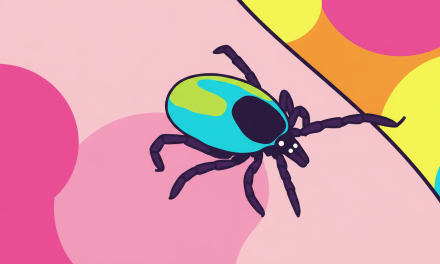 Tick bite ER visits hit highest seasonal level in years as doctors warn of disease surge