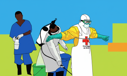 WHO declares Ebola outbreak in Central Africa a public health emergency after 80 suspected deaths